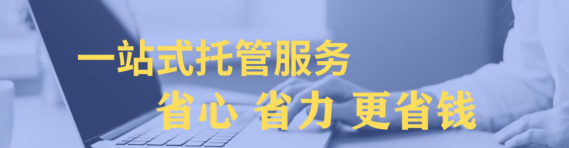 泰和sem优化